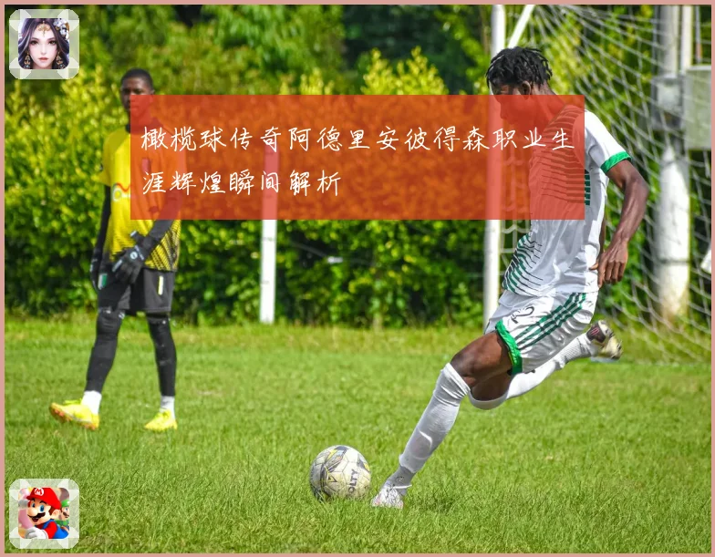 橄榄球传奇阿德里安彼得森职业生涯辉煌瞬间解析