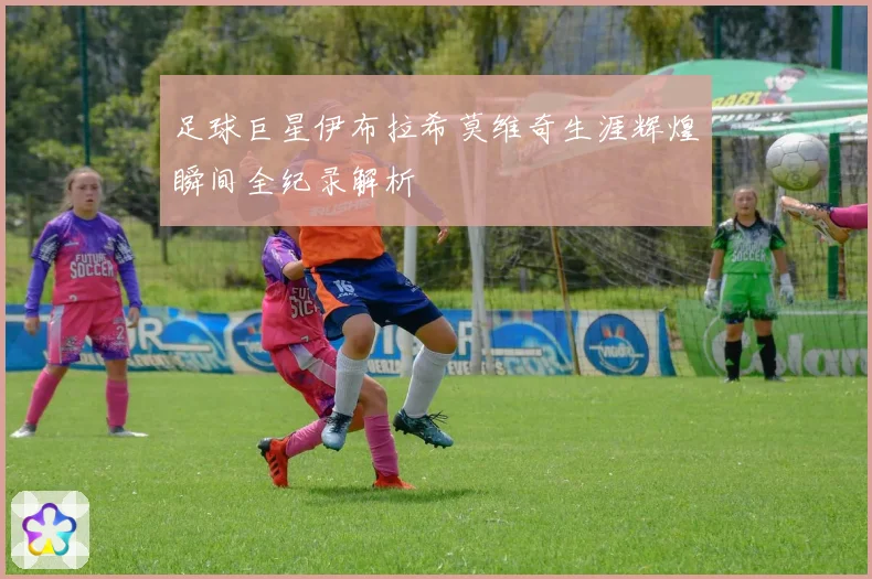 足球巨星伊布拉希莫维奇生涯辉煌瞬间全纪录解析