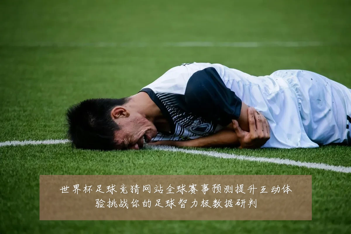 世界杯足球竞猜网站全球赛事预测提升互动体验挑战你的足球智力极数据研判